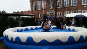 Rodeo Eland is te huur bij Carpe Diem Events & Verhuur uit Limburg.