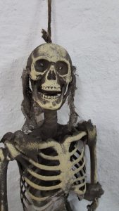 Halloween skelet is te huur bij Carpe Diem Events & Verhuur uit Limburg.