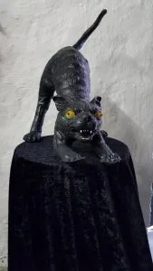 Black Kitty Cat is te huur bij Carpe Diem Events & Verhuur uit Limburg.