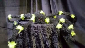 Halloween spin is te huur bij Carpe Diem Events & Verhuur uit Limburg.