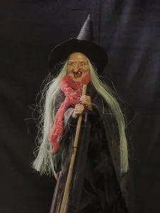 Heks Cynthia is te huur bij Carpe Diem Events & Verhuur uit Limburg.