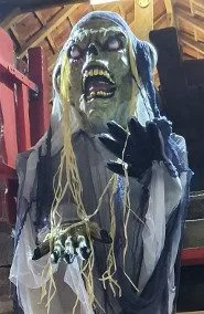 Mevrouw Griezel Monster XXL is te huur bij Carpe Diem Events & Verhuur uit Sittard, Limburg.