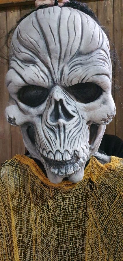 Big Head Skelet is te huur bij Carpe Diem Events & Verhuur uit Sittard, Limburg.