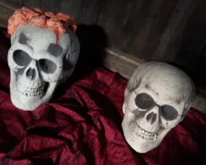 Doodshoofd is te huur bij Carpe Diem Events & Verhuur uit Sittard, Limburg.