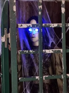 Griezelraam met schreeuwend meisje met licht en geluid is te huur bij Carpe Diem Events & Verhuur uit Sittard, Limburg.