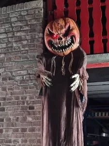 Griezel Pumkin XXLis te huur bij Carpe Diem Events & Verhuur uit Sittard, Limburg.