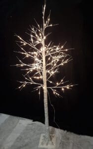 Verlichte berkenboom