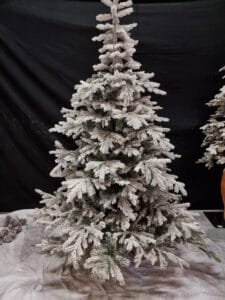 Winter boom huren bij Carpe Diem