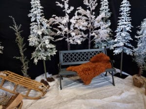 Winterdecoratie is te huur bij Carpe Diem Events & Verhuur uit Sittard, Limburg