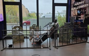 Halloween decoratie met horror props huren bij Carpe Diem Verhuur