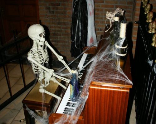 Halloween aankleding levens echt skelet tafereel