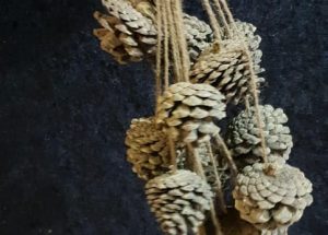 is te huur bij Carpe Diem Events & Verhuur uit Sittard, Limburg.