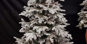 Winterboom-apres-ski 210 Winter boom huren bij Carpe Diem