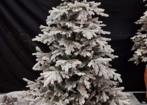 Winter boom huren bij Carpe Diem